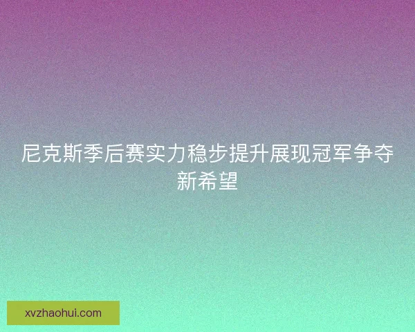 尼克斯季后赛实力稳步提升展现冠军争夺新希望